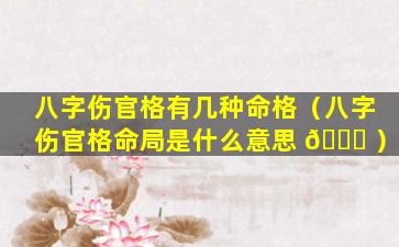 八字伤官格有几种命格（八字伤官格命局是什么意思 🐕 ）